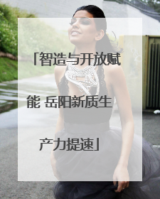 智造与开放赋能 岳阳新质生产力提速