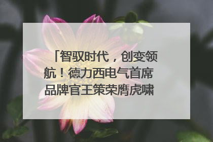 智驭时代，创变领航！德力西电气首席品牌官王策荣膺虎啸奖年度品牌人物
