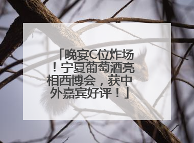 晚宴C位炸场！宁夏葡萄酒亮相西博会，获中外嘉宾好评！