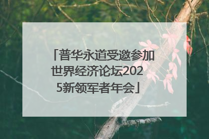 普华永道受邀参加世界经济论坛2025新领军者年会