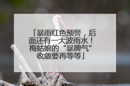 暴雨红色预警，后面还有一大波雨水！梅姑娘的“暴脾气”收敛要再等等