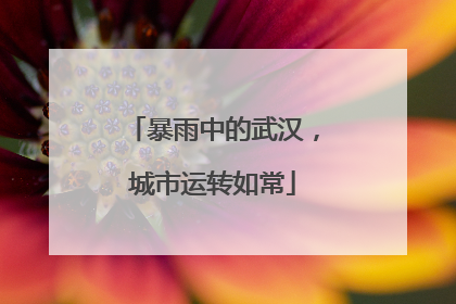 暴雨中的武汉，城市运转如常