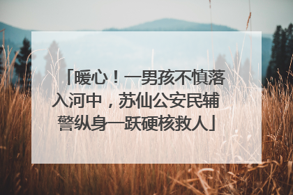 暖心！一男孩不慎落入河中，苏仙公安民辅警纵身一跃硬核救人