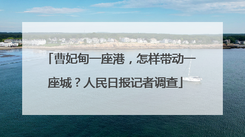 曹妃甸一座港，怎样带动一座城？人民日报记者调查