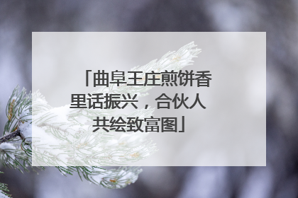 曲阜王庄煎饼香里话振兴，合伙人共绘致富图