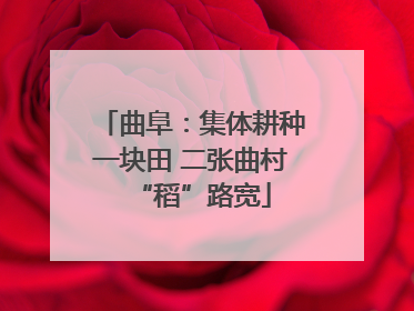 曲阜：集体耕种一块田 二张曲村“稻”路宽