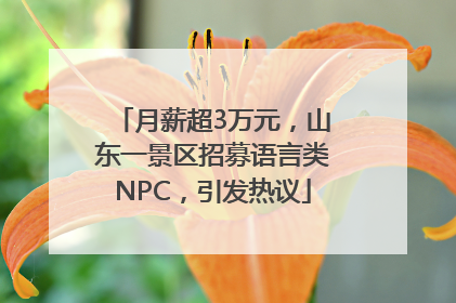 月薪超3万元，山东一景区招募语言类NPC，引发热议