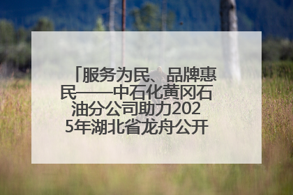服务为民、品牌惠民——中石化黄冈石油分公司助力2025年湖北省龙舟公开赛（黄冈站）