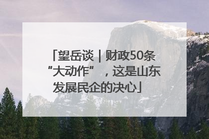 望岳谈｜财政50条“大动作”，这是山东发展民企的决心
