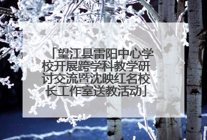 望江县雷阳中心学校开展跨学科教学研讨交流暨沈映红名校长工作室送教活动