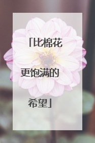 比棉花更饱满的希望
