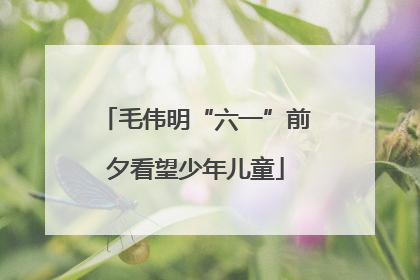 毛伟明“六一”前夕看望少年儿童