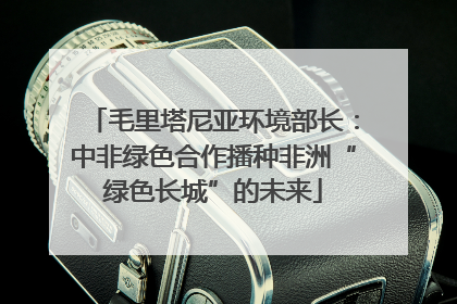 毛里塔尼亚环境部长：中非绿色合作播种非洲“绿色长城”的未来