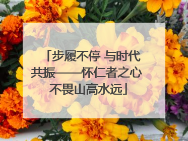 步履不停 与时代共振——怀仁者之心 不畏山高水远