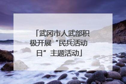 武冈市人武部积极开展“民兵活动日”主题活动