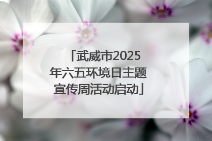 武威市2025年六五环境日主题宣传周活动启动