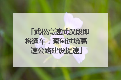 武松高速武汉段即将通车，蔡甸过境高速公路建设提速