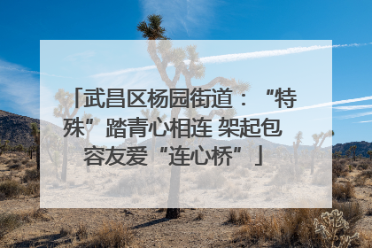 武昌区杨园街道：“特殊”踏青心相连 架起包容友爱“连心桥”