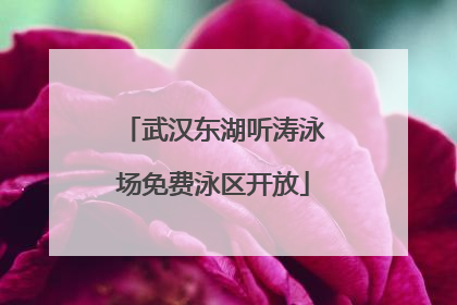 武汉东湖听涛泳场免费泳区开放
