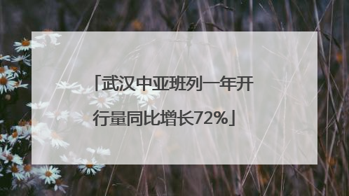 武汉中亚班列一年开行量同比增长72%