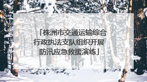 株洲市交通运输综合行政执法支队组织开展防汛应急救援演练