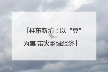 桂东新坊：以“豆”为媒 带火乡域经济