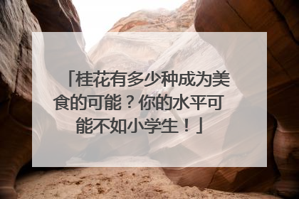 桂花有多少种成为美食的可能？你的水平可能不如小学生！
