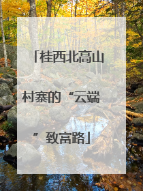 桂西北高山村寨的“云端”致富路