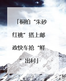 桐柏“朱砂红桃”搭上邮政快车抢“鲜”出村