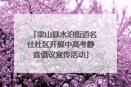 梁山县水泊街道名仕社区开展中高考静音倡议宣传活动