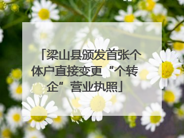 梁山县颁发首张个体户直接变更“个转企”营业执照