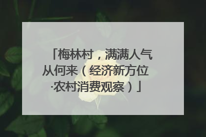 梅林村，满满人气从何来（经济新方位·农村消费观察）