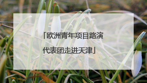 欧洲青年项目路演代表团走进天津