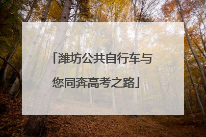 潍坊公共自行车与您同奔高考之路