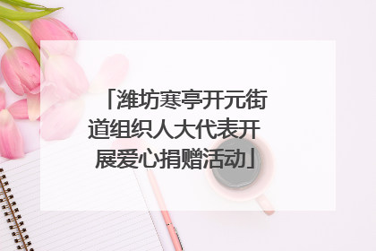 潍坊寒亭开元街道组织人大代表开展爱心捐赠活动