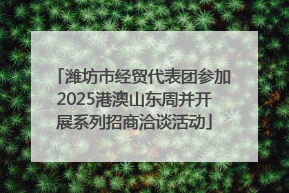 潍坊市经贸代表团参加2025港澳山东周并开展系列招商洽谈活动