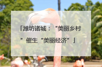 潍坊诸城：“美丽乡村”催生“美丽经济”