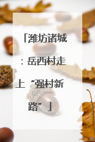 潍坊诸城：岳西村走上“强村新路”
