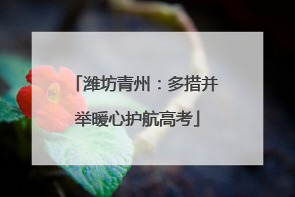 潍坊青州：多措并举暖心护航高考