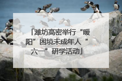 潍坊高密举行“暖阳”困境未成年人“六一”研学活动