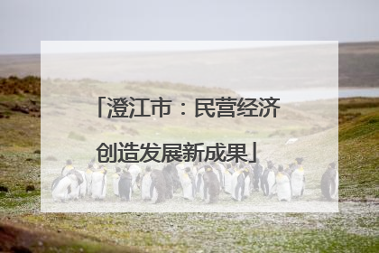 澄江市：民营经济创造发展新成果