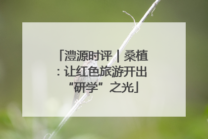 澧源时评｜桑植：让红色旅游开出“研学”之光