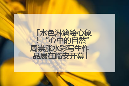 水色淋漓绘心象！“心中的自然”周崇涨水彩写生作品展在临安开幕