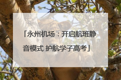 永州机场：开启航班静音模式 护航学子高考