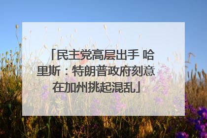 民主党高层出手 哈里斯：特朗普政府刻意在加州挑起混乱