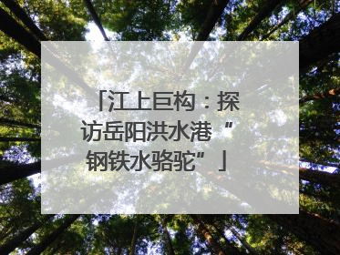 江上巨构：探访岳阳洪水港“钢铁水骆驼”