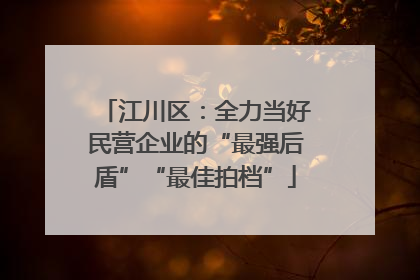 江川区：全力当好民营企业的“最强后盾”“最佳拍档”