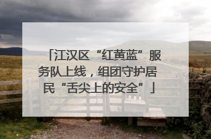 江汉区“红黄蓝”服务队上线，组团守护居民“舌尖上的安全”