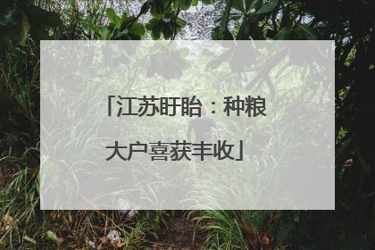 江苏盱眙：种粮大户喜获丰收