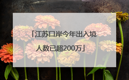江苏口岸今年出入境人数已超200万